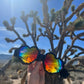 Heart Shaped Burner Goggles